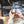 Barista Basics 5
